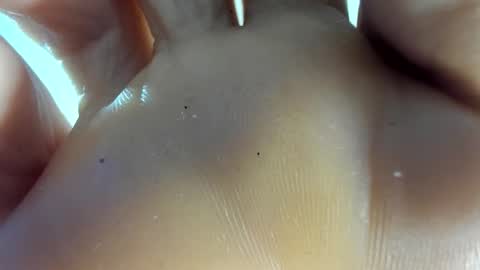 Snapshot of latin__curly chatting on November 2025 12:54:02 AM Afrodita online show from November 2025 12:54:02 AM