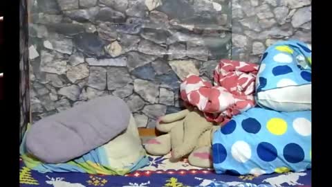 Snapshot of latin_hornycouple chatting on January 2025 05:11:02 AM latin_hornycouple online show from January 2025 05:11:02 AM