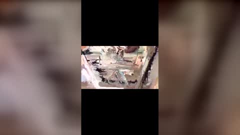 latinbulldaddy88036 online show from March 2026 09:08:02 PM