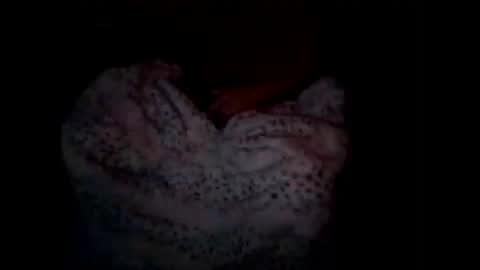 latniter online show from January 2025 09:15:01 AM