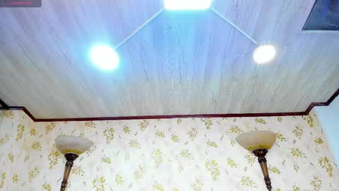 Snapshot of laurenhu chatting on February 2025 09:14:02 AM Lauren Hu online show from February 2025 09:14:02 AM