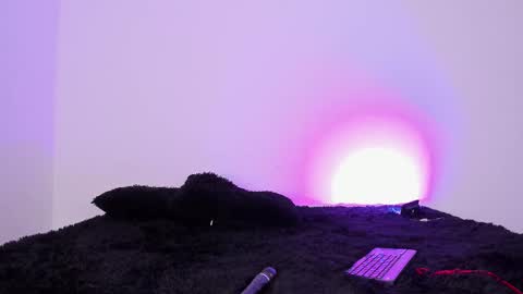 laurensmith9 online show from September 2025 12:42:01 PM