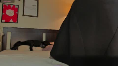 Snapshot of lavender_tender chatting on July 2026 09:14:01 PM Lav online show from July 2026 09:14:01 PM