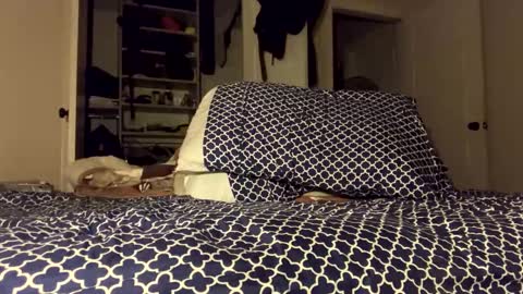 lawilling online show from October 2025 06:57:01 AM