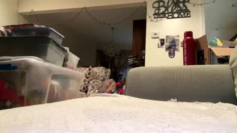 Snapshot of lawrencegreg106 chatting on September 2025 01:09:01 AM lawrencegreg106 online show from September 2025 01:09:01 AM