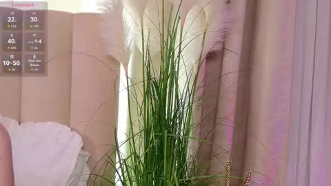 Your sweet girl-next-door online show from January 2026 07:11:01 PM