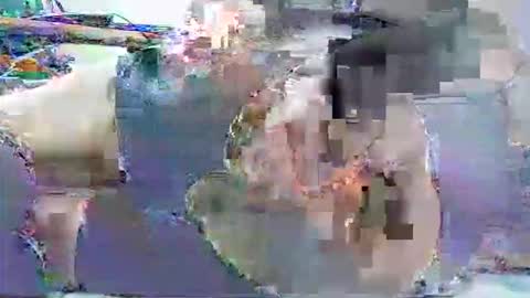 ldm0510 online show from May 2026 01:57:02 AM
