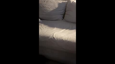 Lee davis 23 online show from May 2026 05:10:01 PM