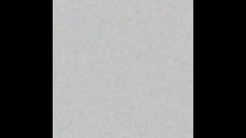 leejhonsonnn online show from October 2025 12:05:02 PM