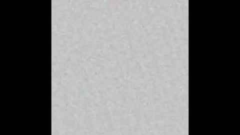 Snapshot of leejhonsonnn chatting on November 2025 11:42:01 AM leejhonsonnn online show from November 2025 11:42:01 AM