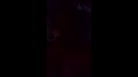 leemo2021 online show from May 2026 08:42:01 AM