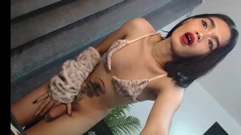 Trisha18 online show from March 2025 05:42:01 AM