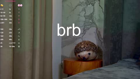 Leslie online show from January 2025 08:31:01 AM