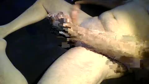 lessgovernment online show from October 2025 02:47:02 PM