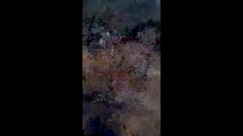 lestercameran80 online show from June 2026 10:16:02 AM