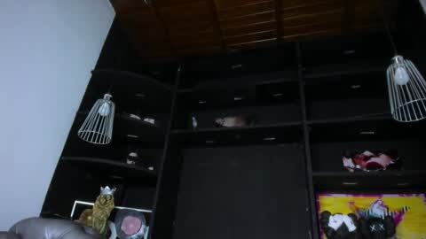 LevySteven online show from February 2025 01:27:01 PM