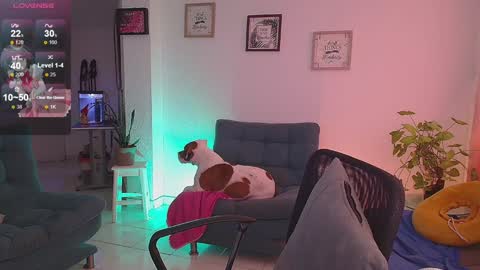 Snapshot of lexie_babe chatting on December 2024 11:33:02 AM Lexie Thompson 8pm 0000am -5 online show from December 2024 11:33:02 AM