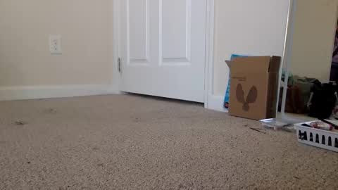 Snapshot of lexiial0 chatting on November 2025 04:40:01 PM Alexia L. online show from November 2025 04:40:01 PM