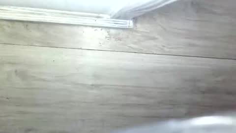 Olive Pena online show from May 2026 11:06:01 AM