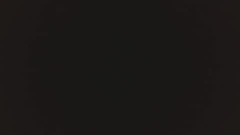 catalina online show from February 2025 02:21:01 AM