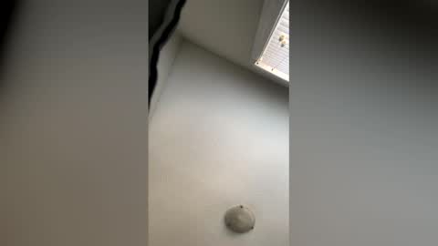 lickherking79 online show from May 2026 11:35:01 PM