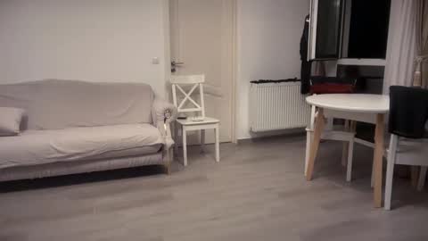 Snapshot of liferacw chatting on September 2025 10:53:01 PM SofieXxxDoll online show from September 2025 10:53:01 PM