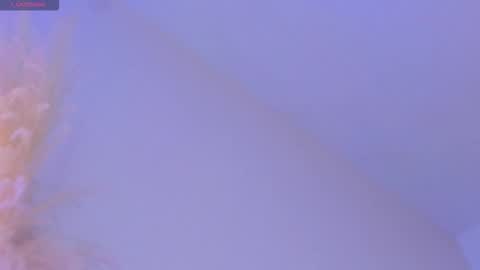 Liiam Luna online show from November 2025 09:09:02 AM