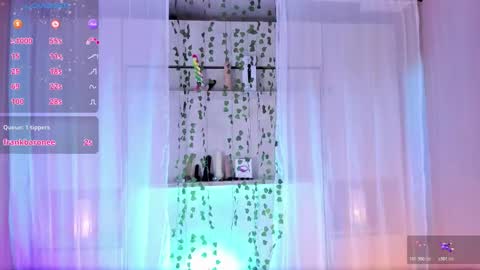         online show from November 2025 11:42:01 AM