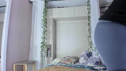         online show from November 2025 11:35:01 AM