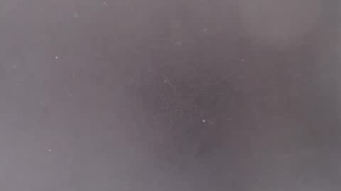 Snapshot of liiz5 chatting on March 2026 07:29:01 PM liiz5 online show from March 2026 07:29:01 PM