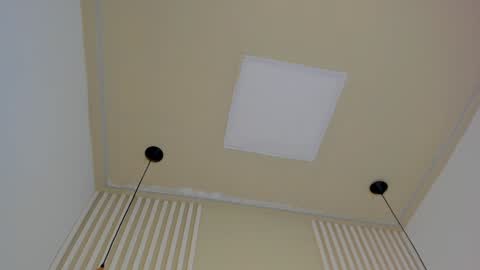 Snapshot of lila_cohen chatting on January 2025 12:00:01 AM L I L A online show from January 2025 12:00:01 AM