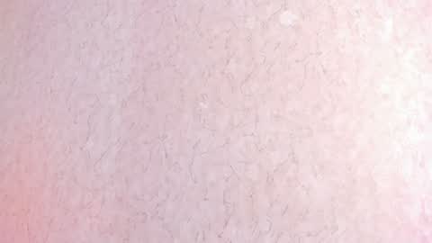 Snapshot of lila_cohen chatting on February 2025 06:38:01 PM L I L A online show from February 2025 06:38:01 PM