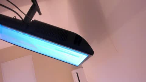 L I L A   online show from March 2026 04:35:01 AM