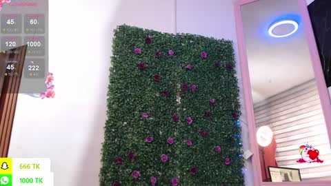   online show from April 2026 02:40:01 PM