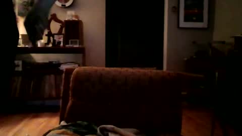 lildeer1980 online show from January 2025 08:16:02 AM