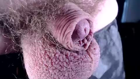 lildickbigbelly online show from July 2026 07:16:02 PM