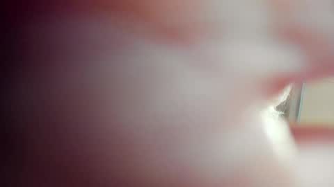 Lilia online show from April 2026 10:42:01 AM