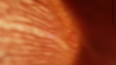 Snapshot of lilicum301 chatting on November 2025 01:27:02 AM your love online show from November 2025 01:27:02 AM