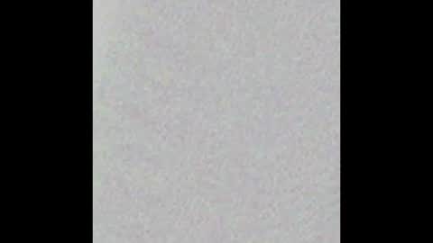 Lilith Savett online show from January 2025 12:52:01 PM