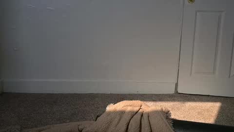 Snapshot of lilithoftrees chatting on March 2025 04:30:02 PM L online show from March 2025 04:30:02 PM