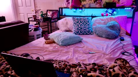 Snapshot of liltrannyslut chatting on January 2025 09:26:01 AM jasmine spunn online show from January 2025 09:26:01 AM