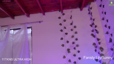 Fansly LilyBunny- help me reach 50 thumbs up online show from December 2024 10:19:01 PM