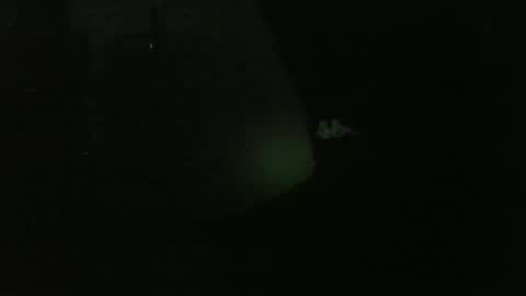 Snapshot of lily_lovelyman_ chatting on December 2024 04:53:02 AM lily lovelyman online show from December 2024 04:53:02 AM