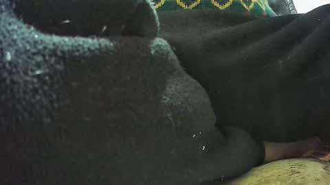 Snapshot of lily_lovelyman_ chatting on February 2025 07:11:01 AM lily lovelyman online show from February 2025 07:11:01 AM