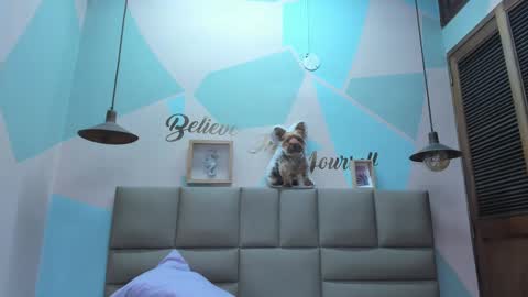 Snapshot of lilybaudyn_ chatting on February 2025 08:03:01 AM Lily online show from February 2025 08:03:01 AM