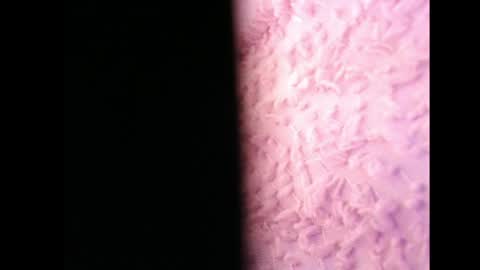 lilycelest online show from May 2026 06:44:01 AM
