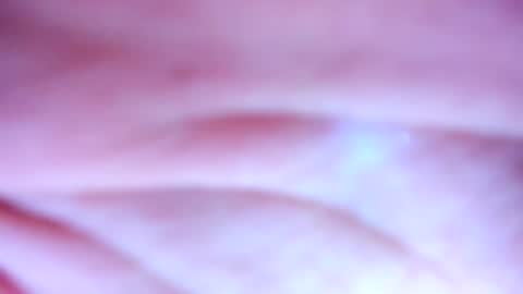    online show from February 2025 01:28:01 PM