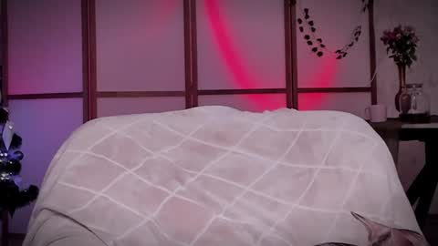 Lina -  online show from December 2024 11:44:02 AM