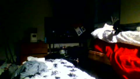 Richie Rich online show from December 2024 11:17:01 PM