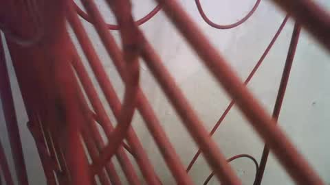 Richie Rich online show from October 2025 05:00:01 PM